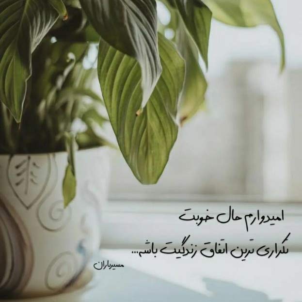 آهنگ نفسم تو عشق دلم تو