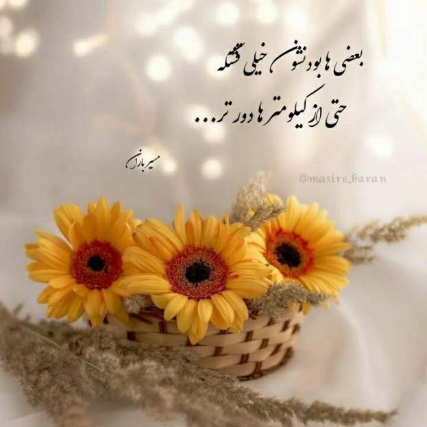 آهنگ حال خونه تخمی حال بیرون تخمی تر