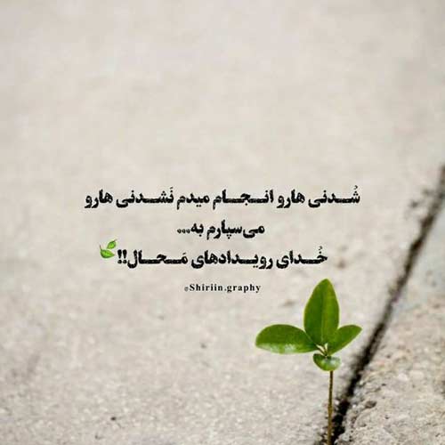 آهنگ دستامو نگیر برو بمیر