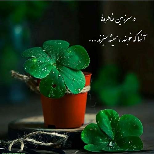 آهنگ فردا دوباره پاییز میشه باز