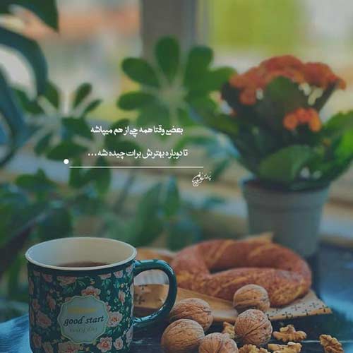 آهنگ تریاک فروش صدام کرد یواشکی نگام کرد