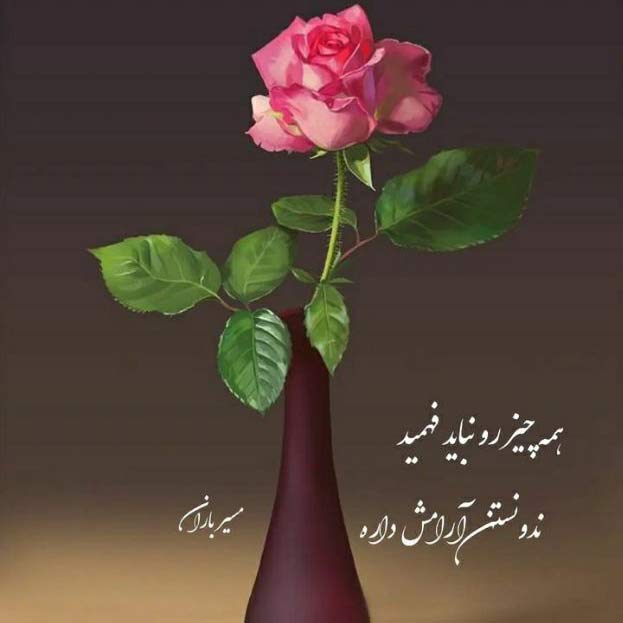 آهنگ سکوت شویلم