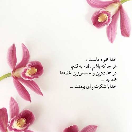 اهنگ از او سر می دلبر درنه یک دانه دختر درنه از نیما گلنژاد اینستا
