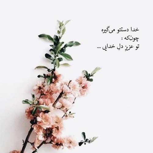 دانلود اهنگ دخترون دخترون شهر شیراز اینستا