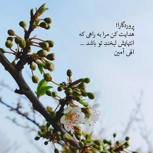 اهنگ دریا دریا دریا عاشق شده این دل با صدای رضا ملک زاده