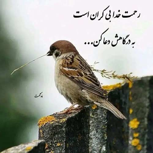 دانلود اهنگ از خودم از حال دلم نشد بگم با صدای علیرضا روزگار