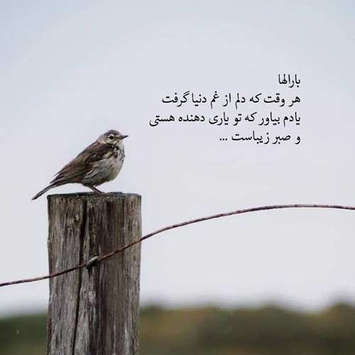 اهنگ دلم دردی که دارد با که گوید با صدای رضا بهرام اینستا