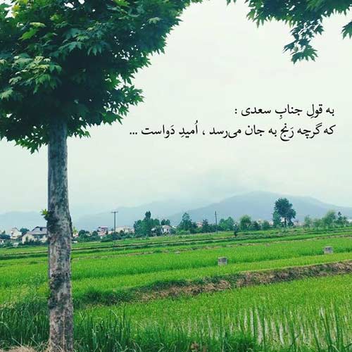 اهنگ رو تن کوچه عشق عمری دویدم از سیاوش شمس اینستا