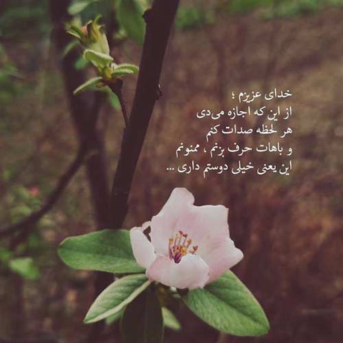 اهنگ دﻳﮕﻪ ﺷﺐ ﻋﺸﻘﻪ ﻳﺎره دل ﻛﻨﺎر ﻳﺎره از سینا درخشنده اینستا
