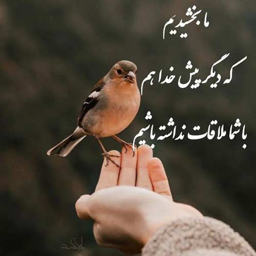 اهنگ شود ورد لبم نام تو گر تو نظری کنی با صدای مرد اینستا